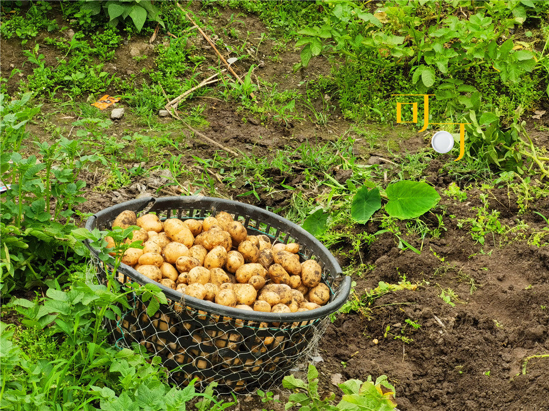 东钱湖湖畔人家农家乐,东钱湖下午茶和农家菜