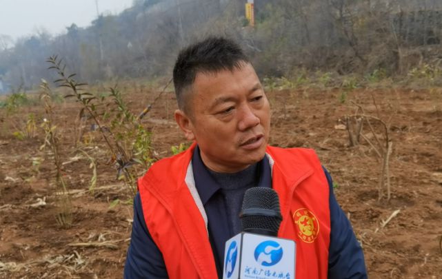 河南老中医尚飞都市报道,祖传老中医尚飞