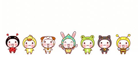 每日一品兰花价格,每日一品茶叶