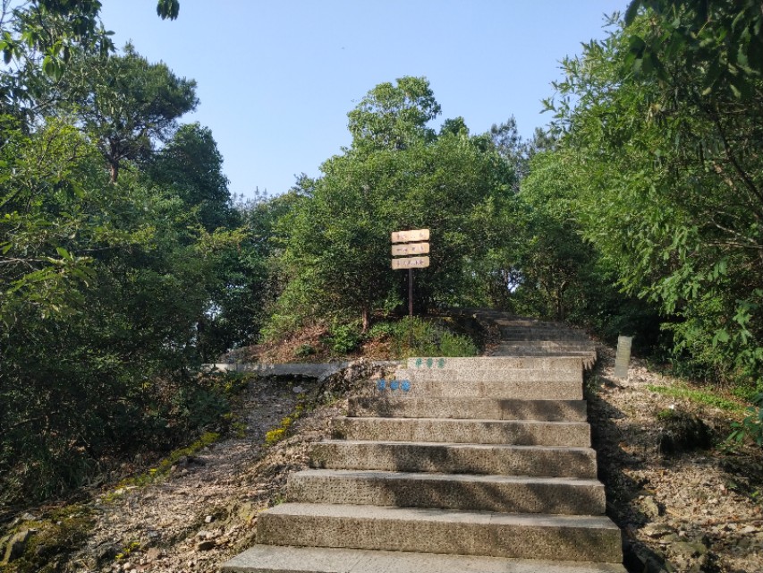 杭州西湖茶山游玩攻略,杭州西湖边游玩