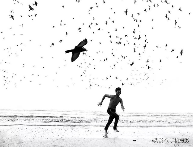 ippa摄影大赛年度总冠军,ippa摄影大赛2014