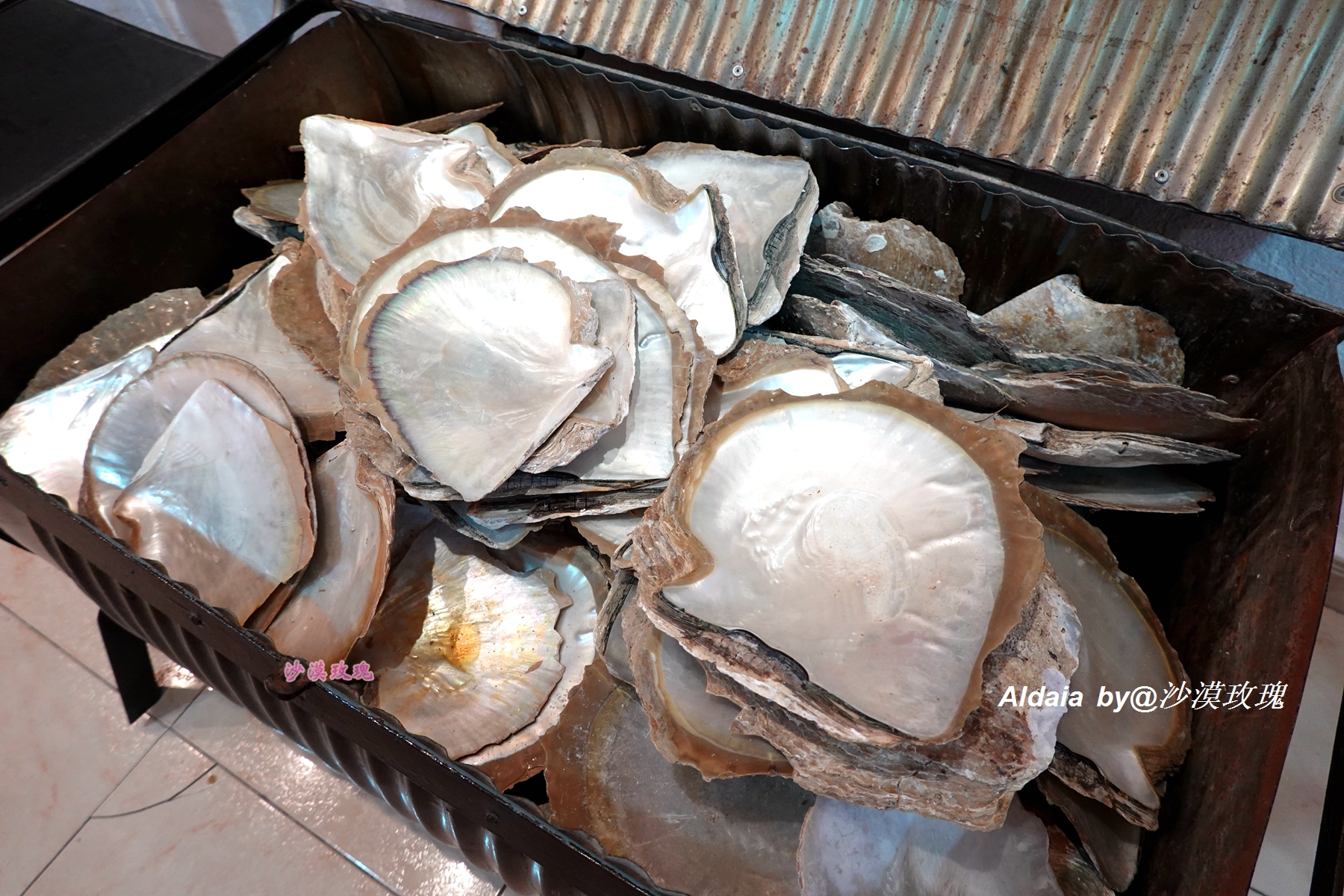 朝鲜最早的折扇,朝鲜族扇子的由来