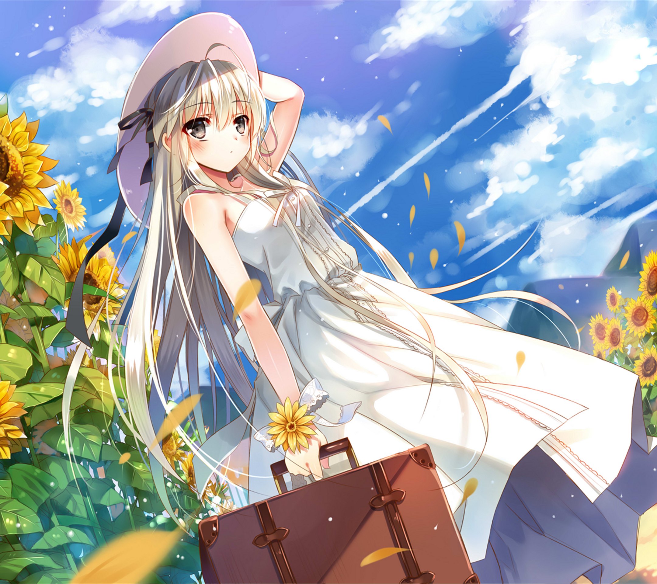 刚混二次元有什么要注意的,二次元小白必须要认识的