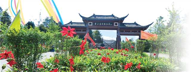 创意农业基地崖城,创意农业景观180余个