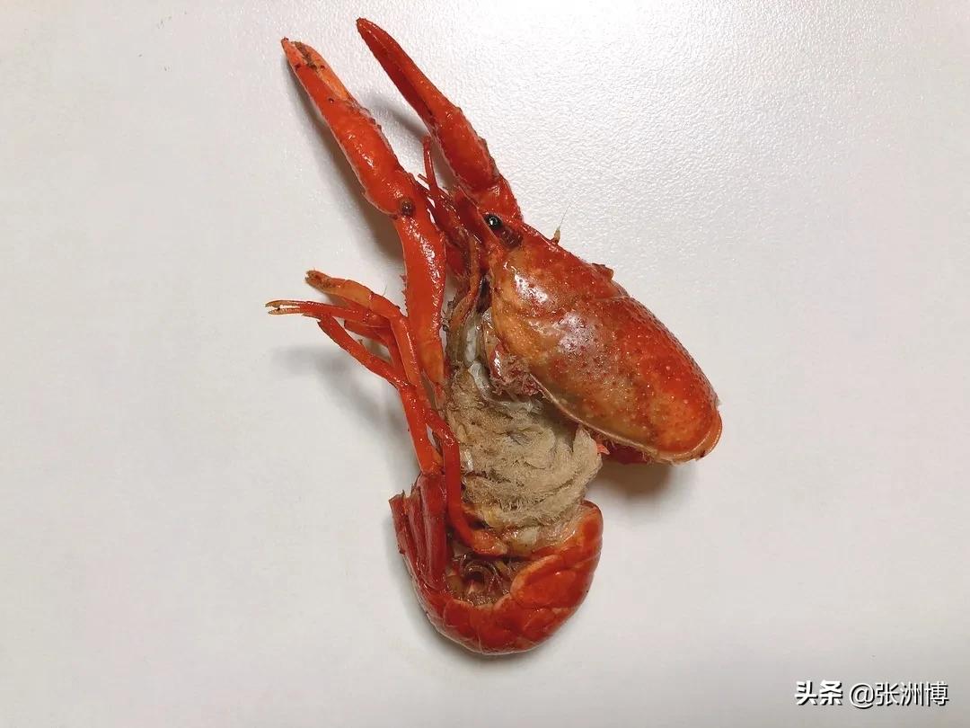 网红红黑榜,今年小龙虾排行榜