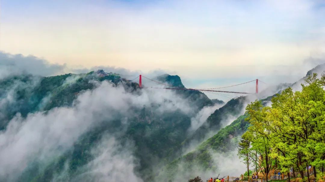 天蒙山踏青赏花,蒙山景区赏花