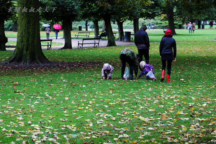 丹麦女王的黄金王冠,丹麦黄金王冠