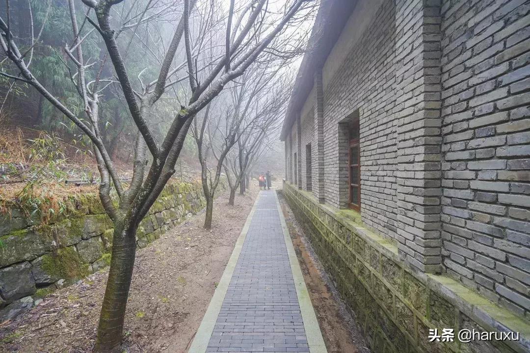 南方也能下雪吗,南方也能见到雪