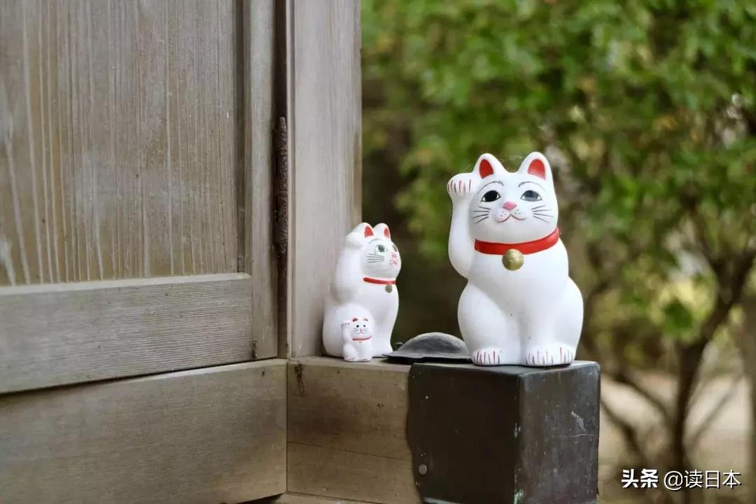 日本小众玩具,日本的那些奇怪玩具