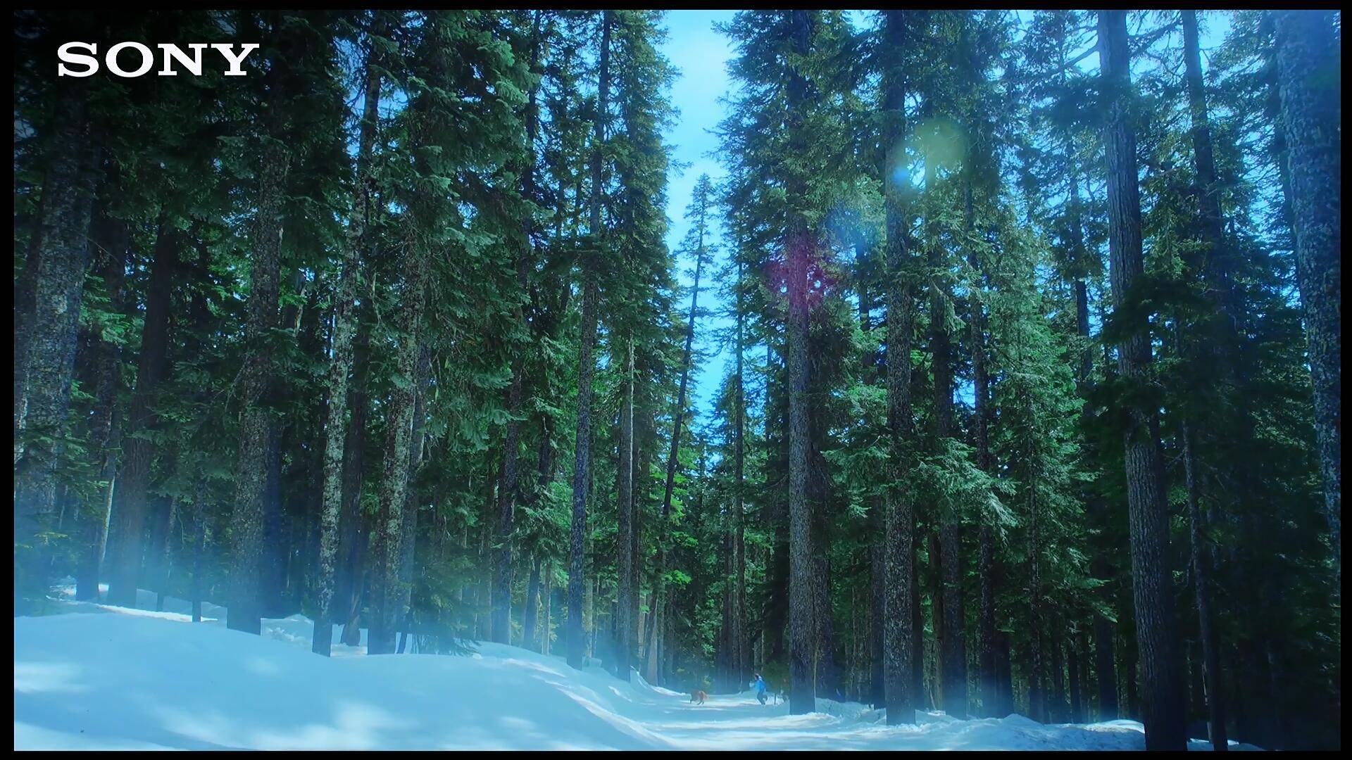 泰捷we30c有必要买升级版吗,泰捷we30c还值得购买吗