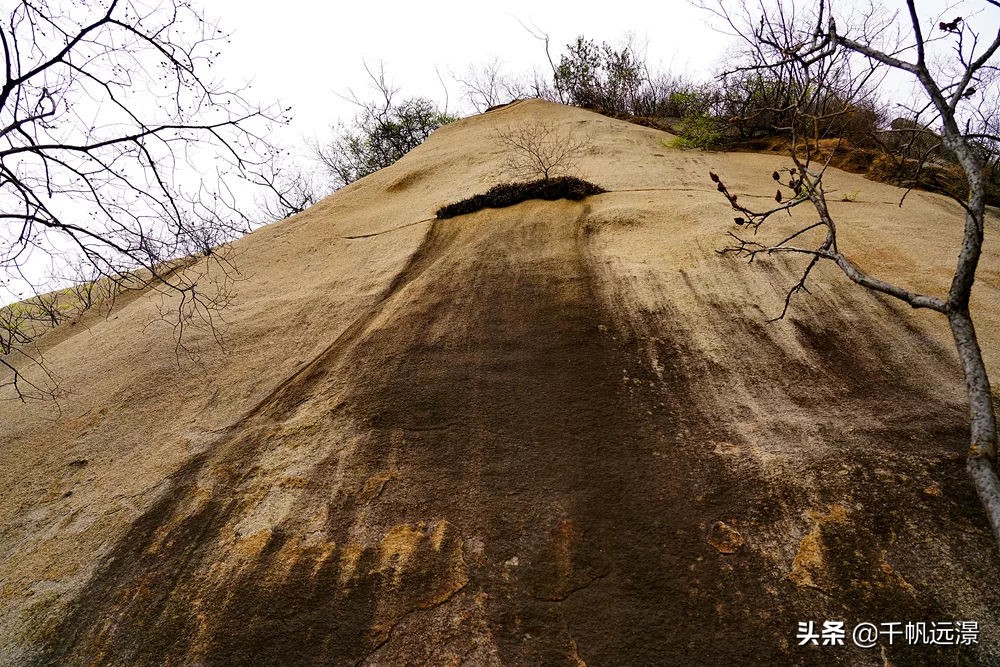 阳春四月春意盎然,阳春四月艳阳照