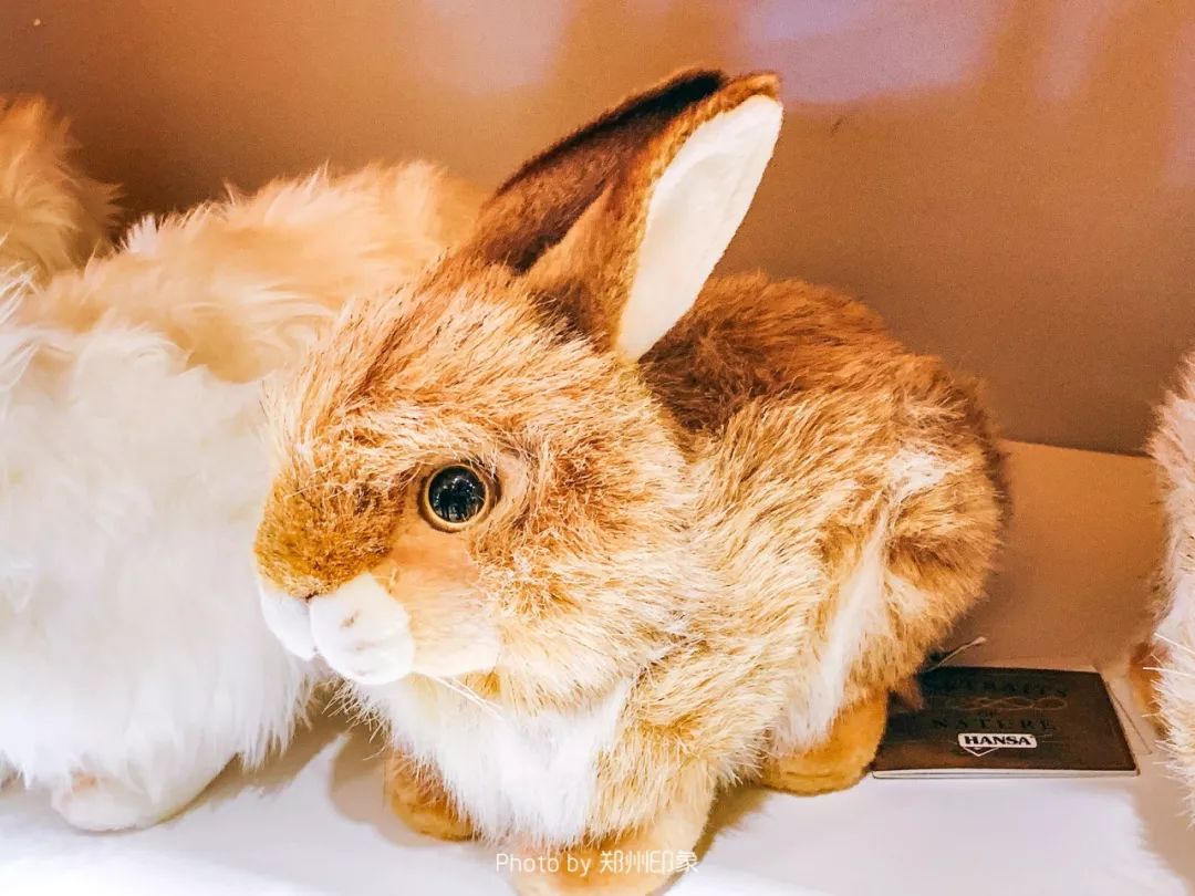 正弘城为什么这么热闹,正弘城有什么好逛的