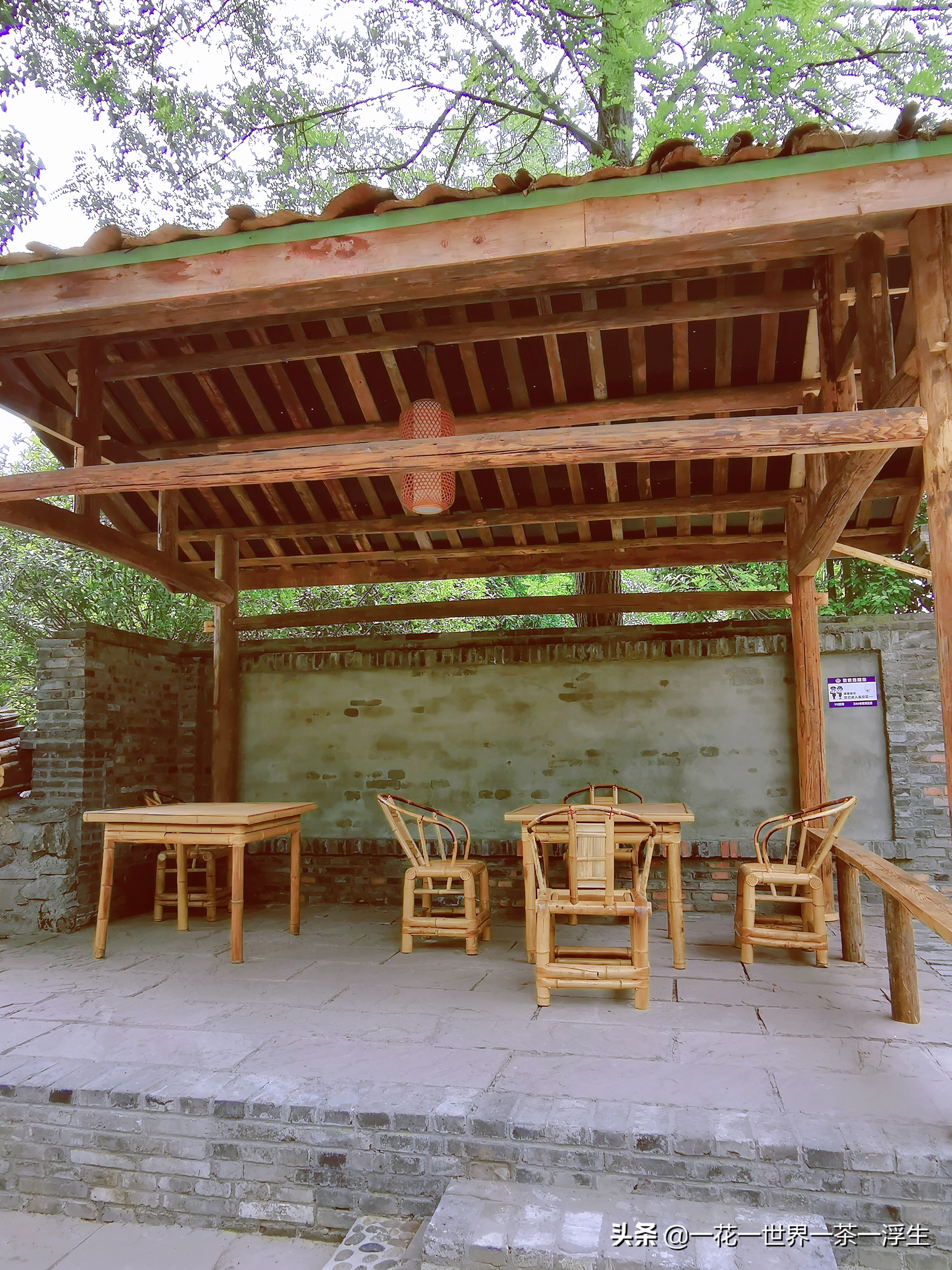 寻找巴适的成都小院(2)