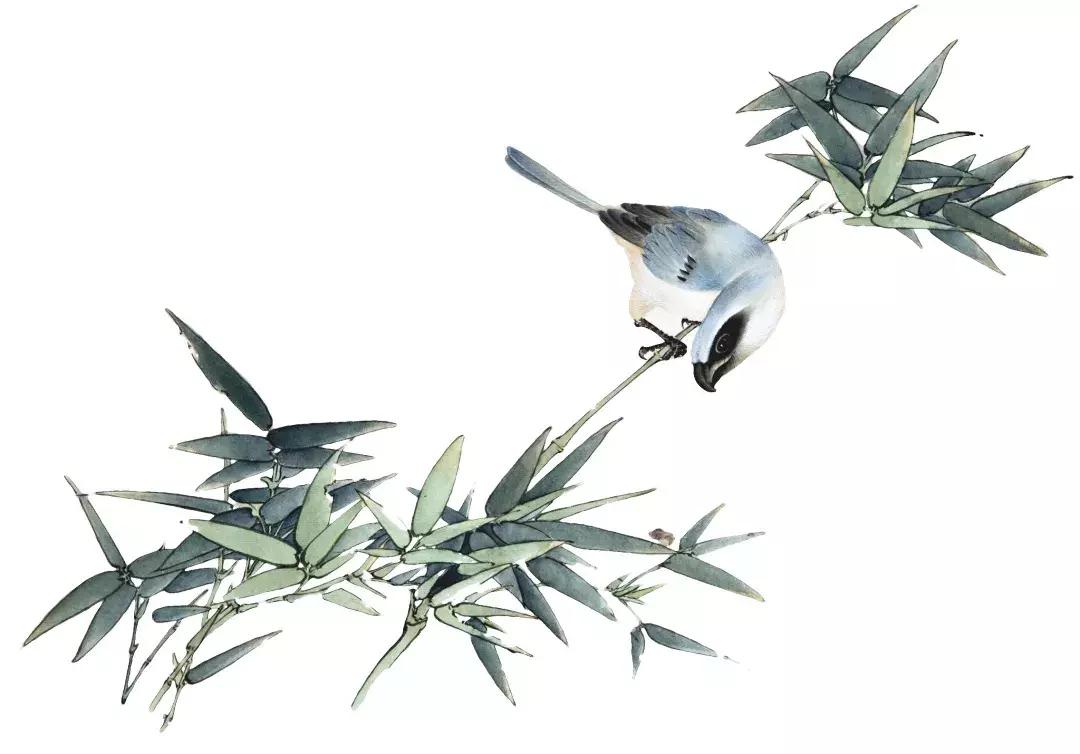 江西省南康中学校歌歌词,大余南安中学校歌