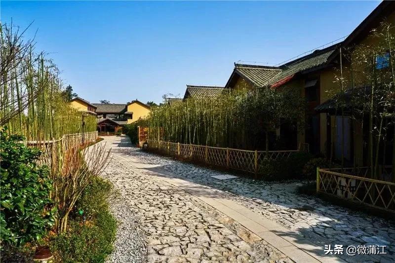 蒲江这3个景点入选,快来投票!探秘四川88个不得不去的景区评选开始啦……