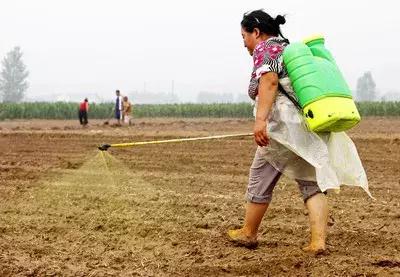 打农药安全注意事项和禁忌,农药用药注意事项