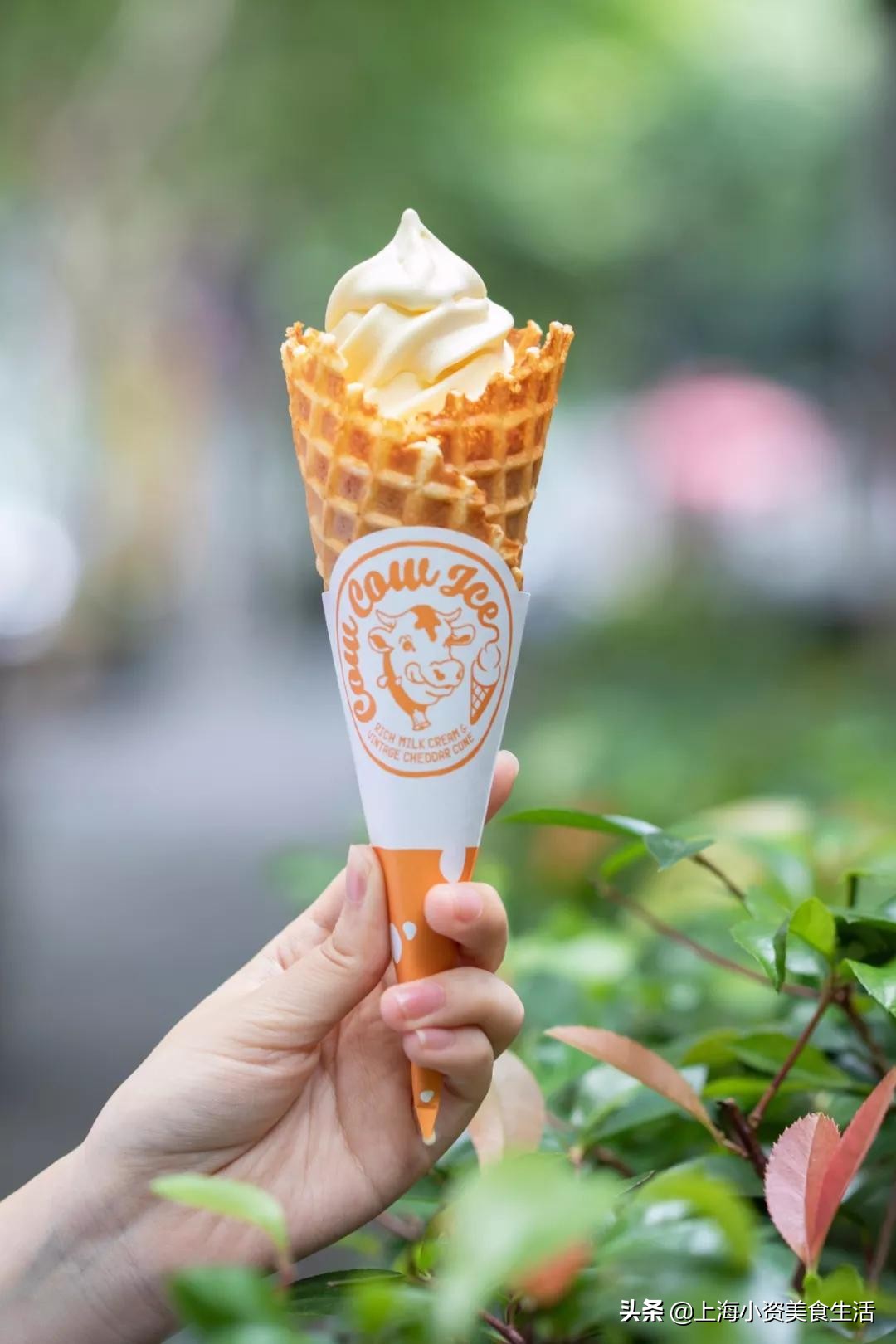 大陆首店！ins人气甜品东京牛奶芝士工坊来魔都啦