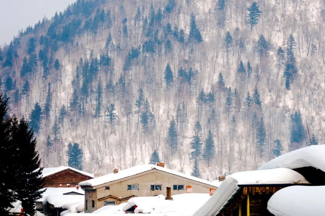 哈尔滨东方小巴黎,哈尔滨为什么被称为东方小巴黎