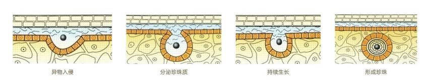戴上珍珠发夹就是小仙女,当女人戴上眼镜