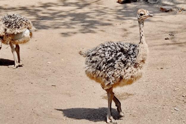 西安华源度假山庄,西安冬季周边度假山庄