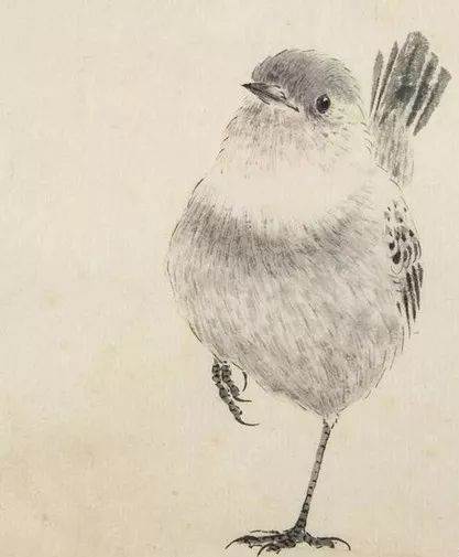 最简单画鸟的画法,各种鸟的画法简单又漂亮