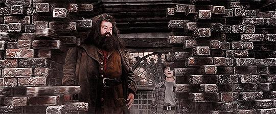 网易的哈利波特怎么没有限制,网易哈利波特魔法觉醒停服了