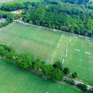 胡志军甲a进球视频,甲a联赛胡志军