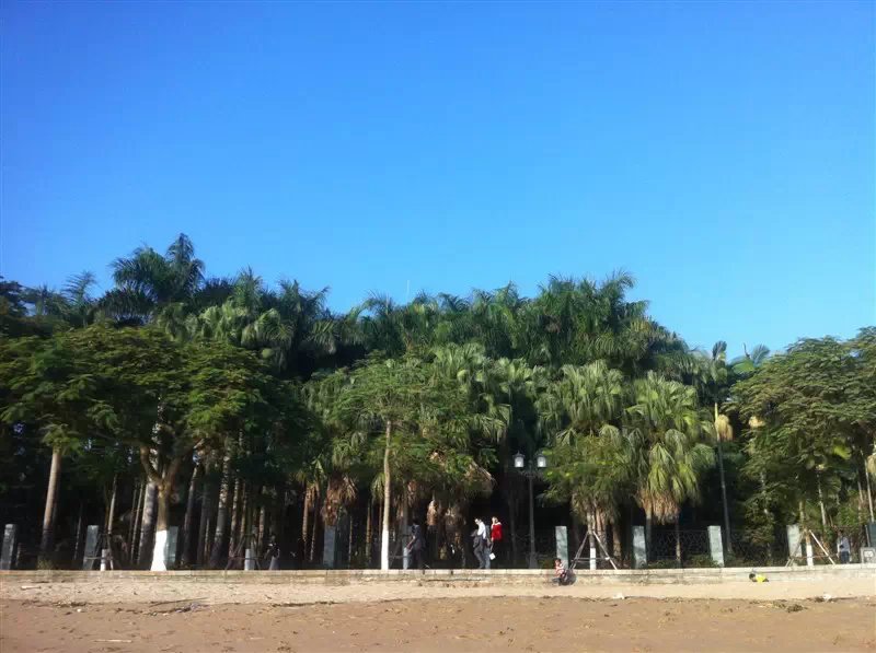 厦门鼓浪屿免费,厦门景点半价政策最新规定