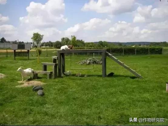 有机农场能赚钱吗,有机农场失败案例