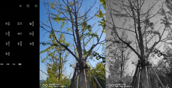 华为p50pro鸿蒙版评测,华为p50pocket鸿蒙