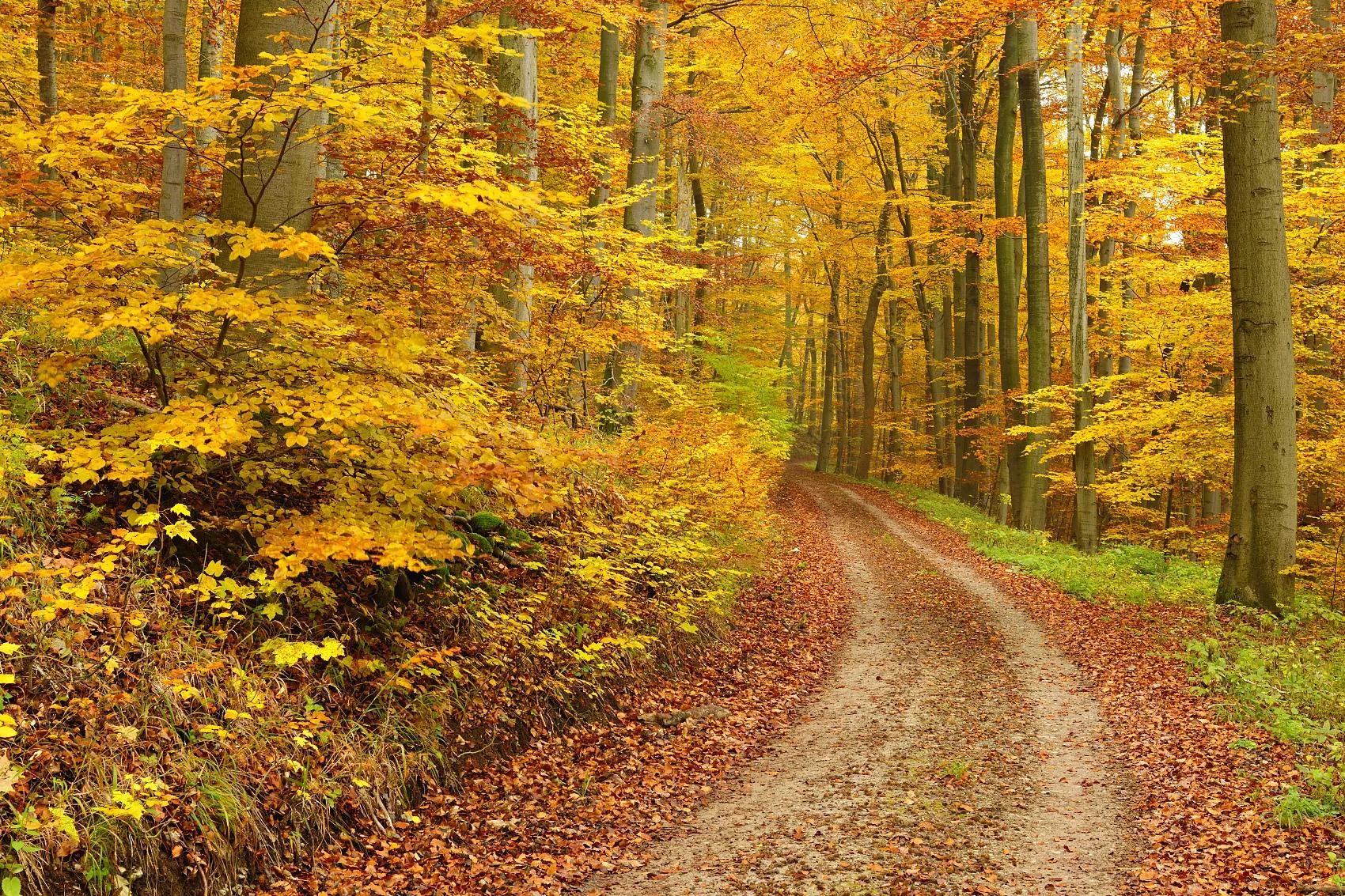 如何提升自己的人性思维,九条人性思维法则