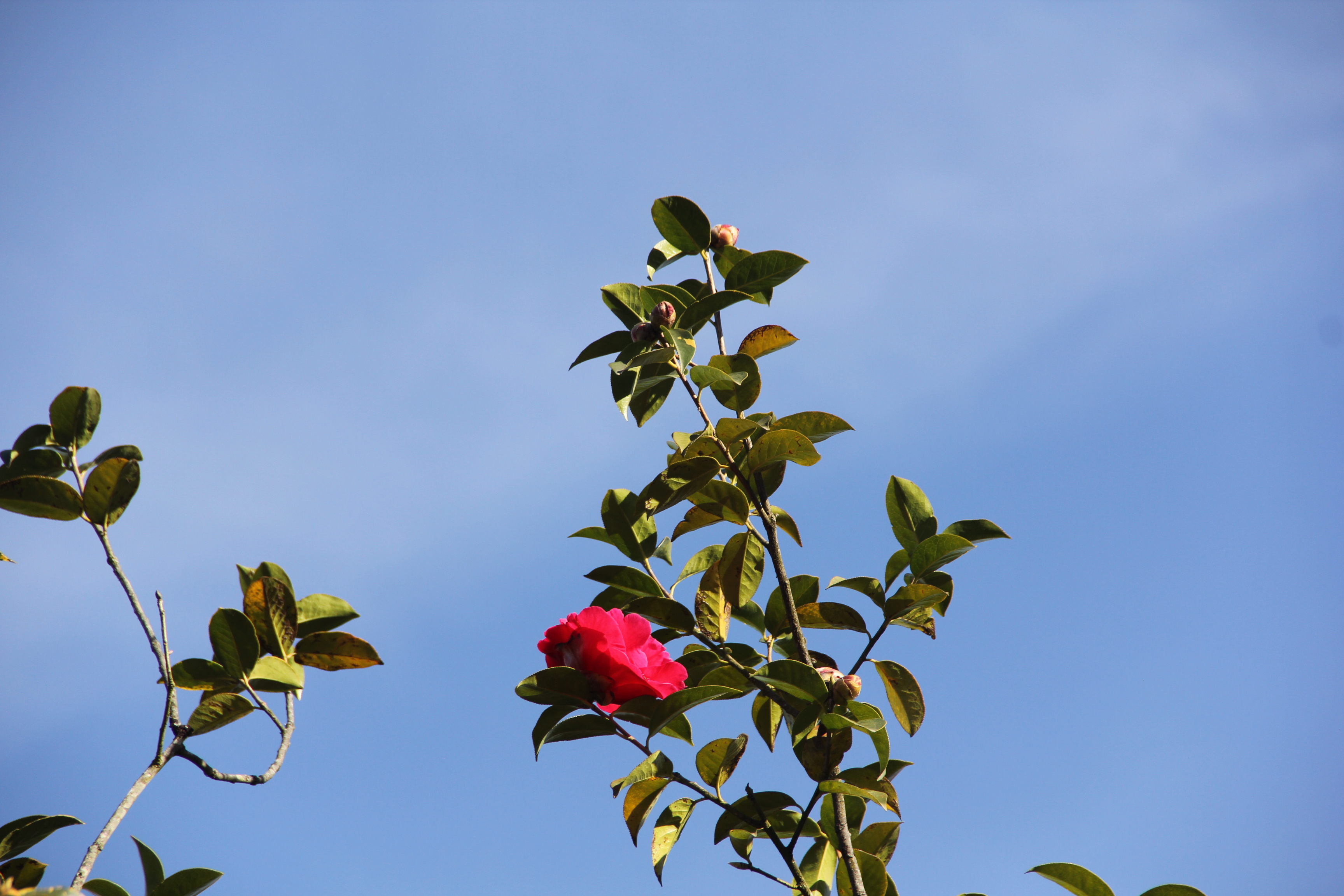腾冲旅游自由行攻略,腾冲旅游三天自由行攻略