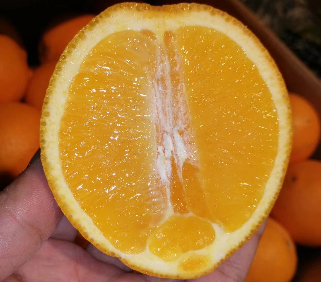 全球十大名橙排名,国内外名橙