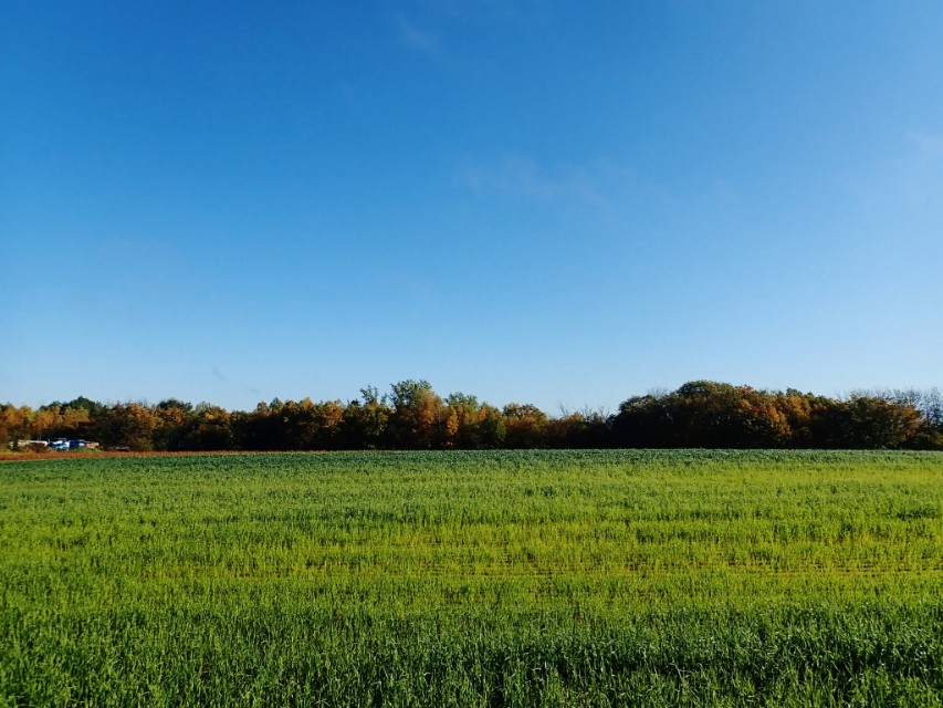 北海道登别到美瑛町需多久,日本北海道美瑛川的雪景