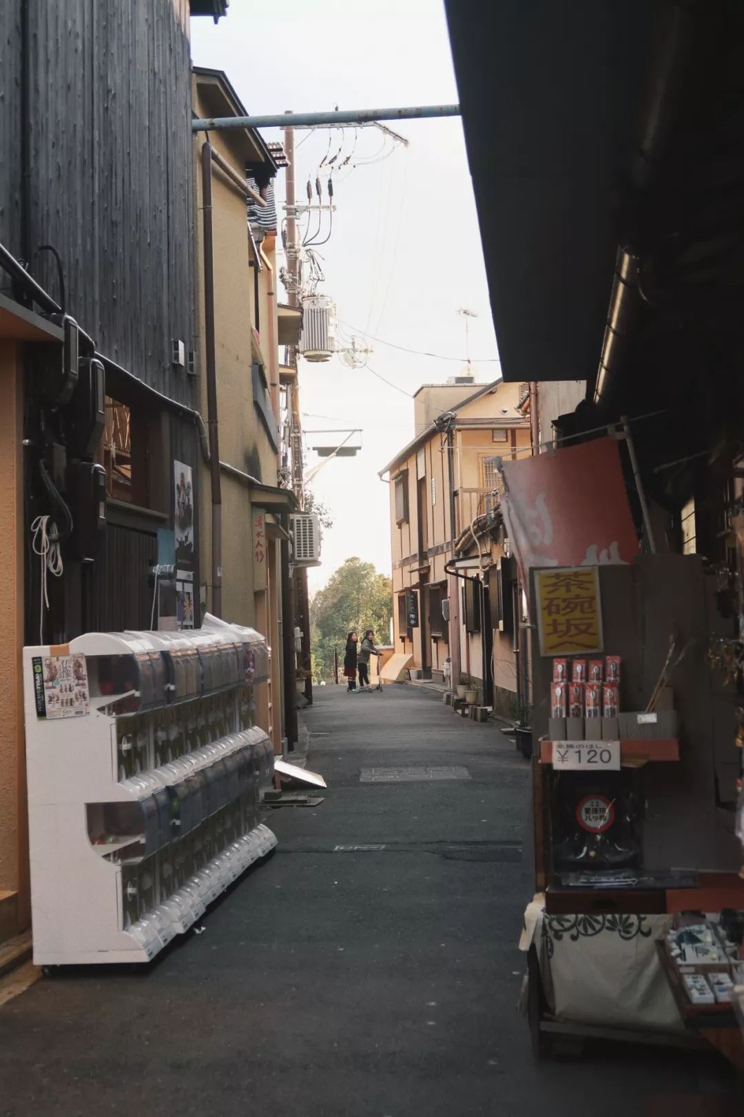 游玩京都的感慨,夜游京都日本庭园