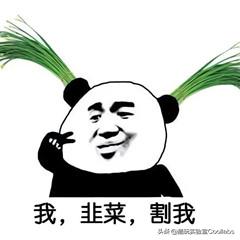 一生一世dr钻戒多少钱,一生一枚的dr钻戒价位