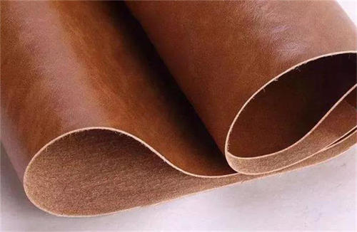 狗仗人势的真实原因,泰迪犬的这7种表现