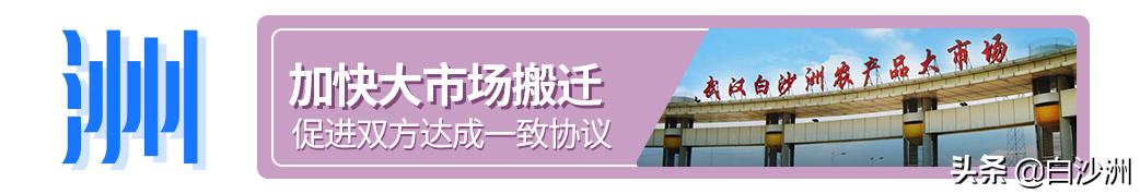 白沙洲绿地最新规划图,白沙洲丽水路规划图