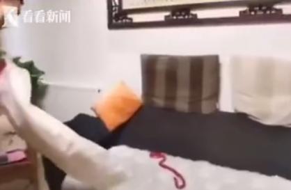 外卖龙虾段子搞笑,外卖的虾是不是都是冻虾