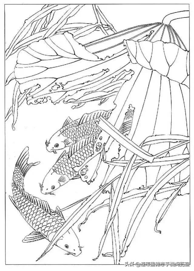 古诗十九首全文及注释,古诗十九首原文及译文