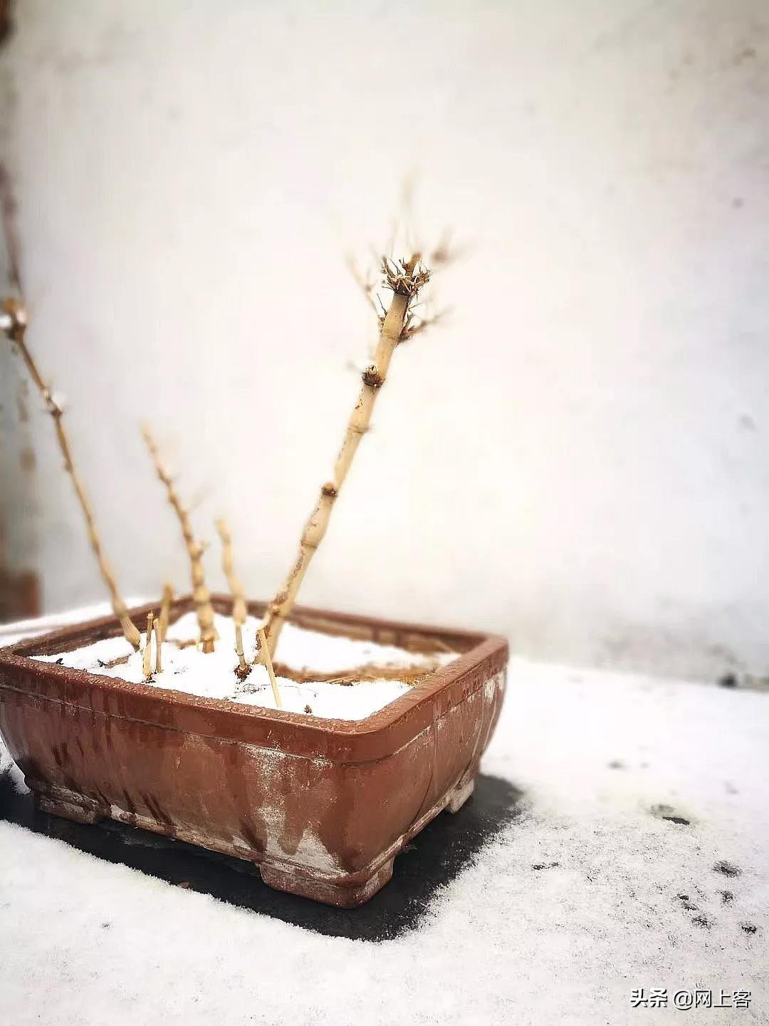 评刘宏宇近作—书房楹联(二)