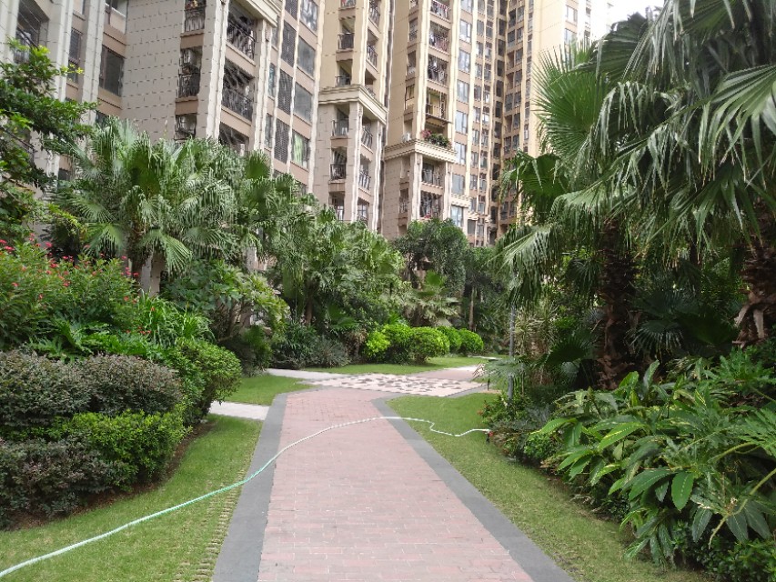 淡水高尔夫1号小区,好小区