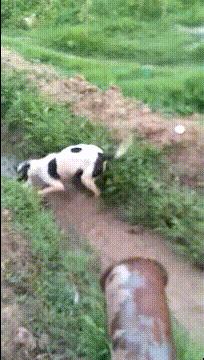 喜欢很久的小哥哥,喜欢了很久的小哥哥