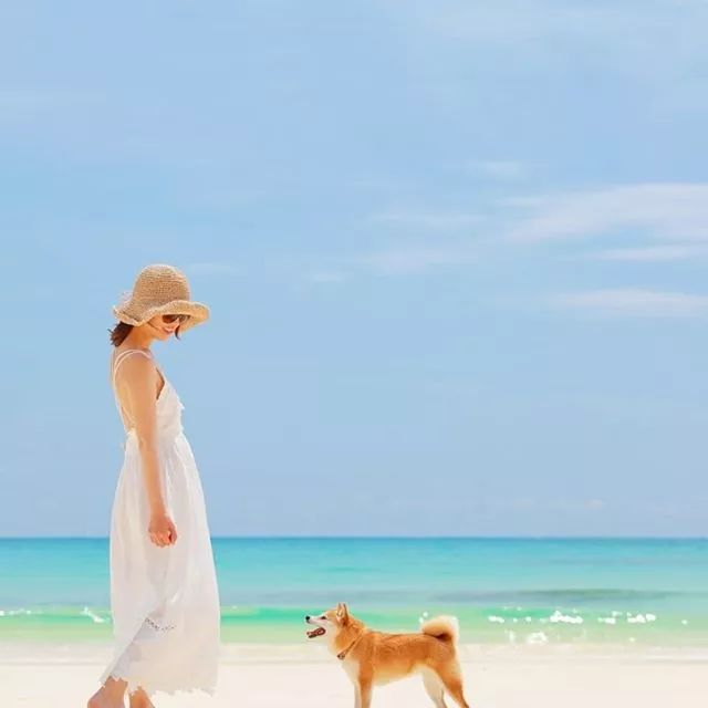 比人还会拍照的狗，简直萌炸朋友圈了