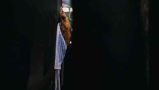 万圣节鬼混现场完整版,万圣节夜场门票49.9