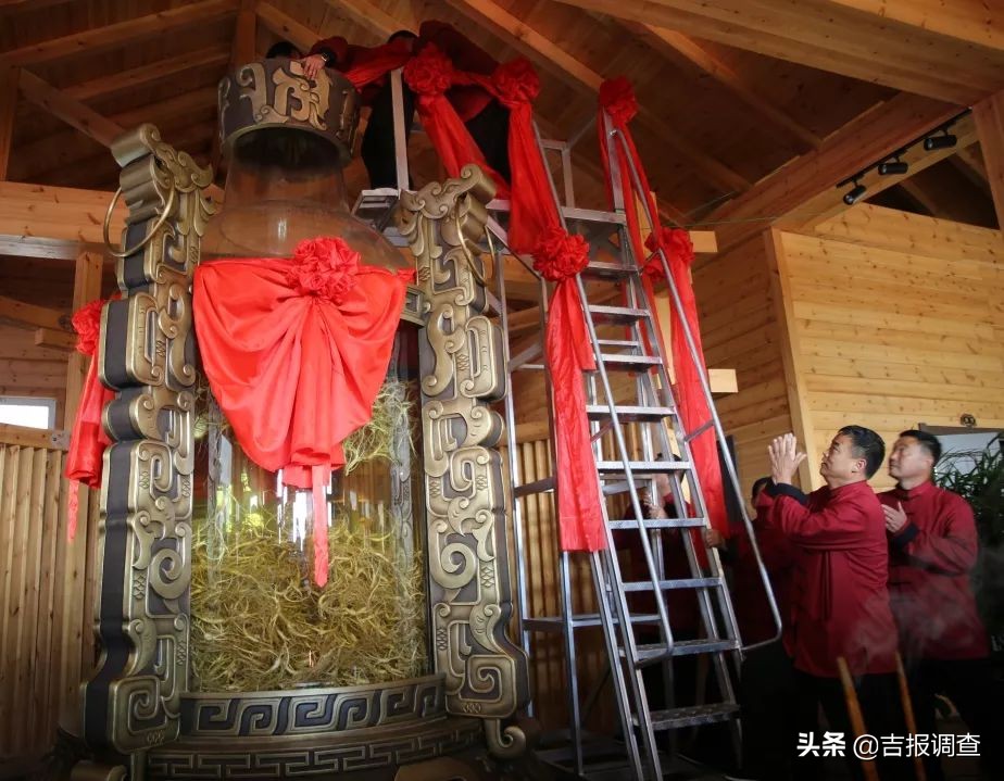 吉尼斯之最,吉尼斯之最视频