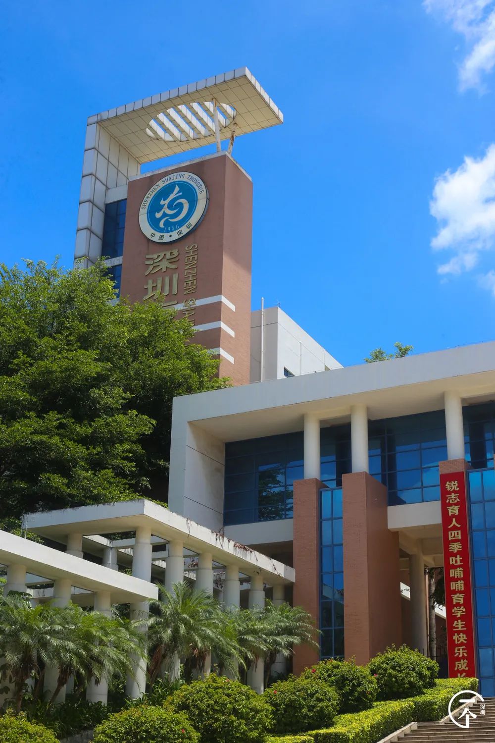 全深圳都要羡慕住在沙井的人,羡慕深圳有房的人