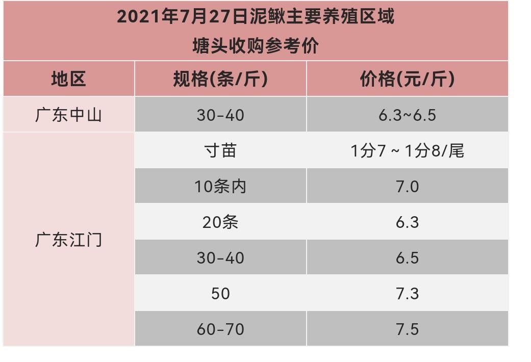 未来3年泥鳅价预测,今年泥鳅市场价能卖多少元一斤