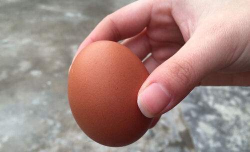 单手打蛋的技巧视频,单手打蛋