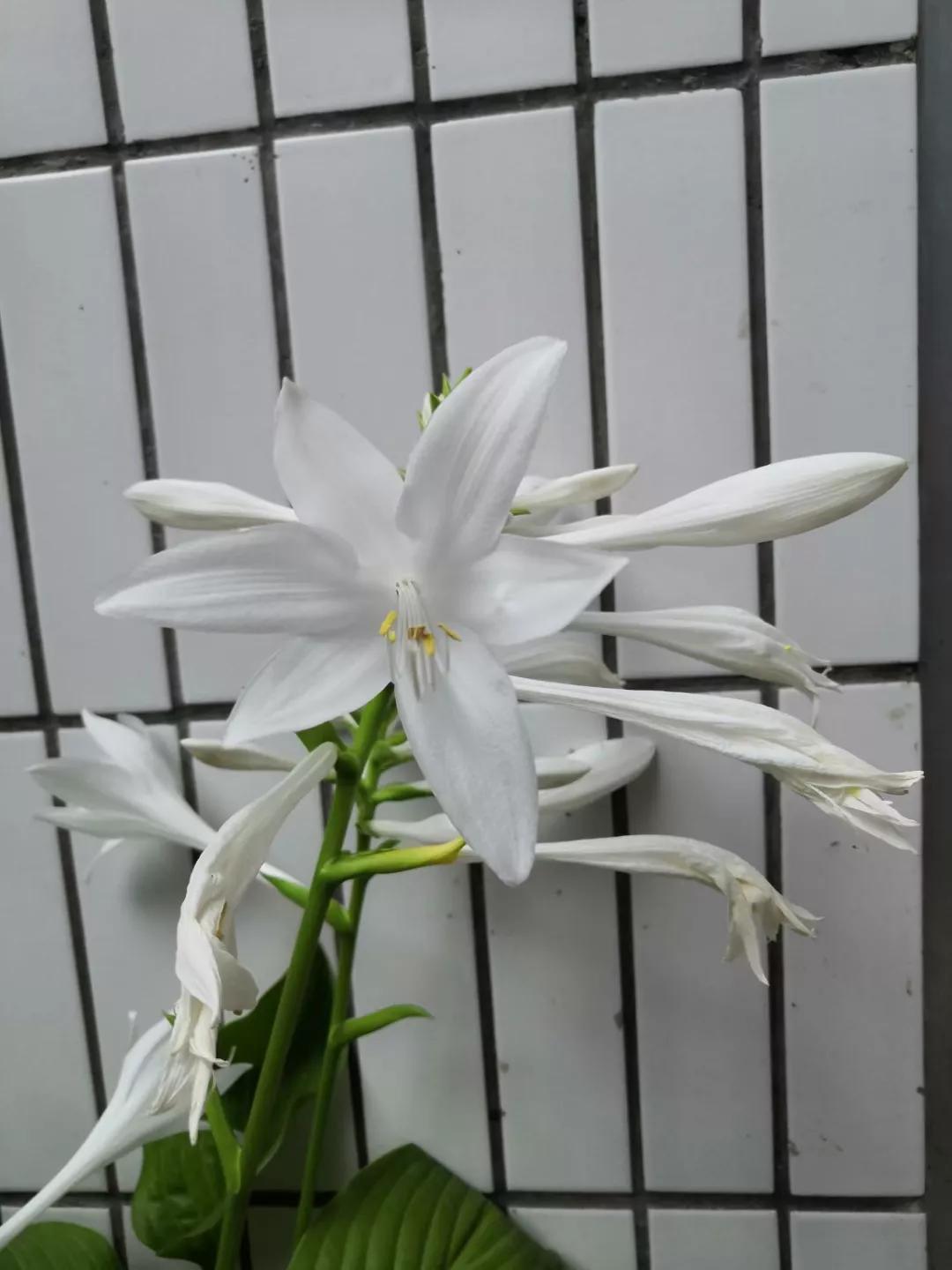 东京奥运会中国金牌夺冠回顾,2021年东京奥运会中国队金牌